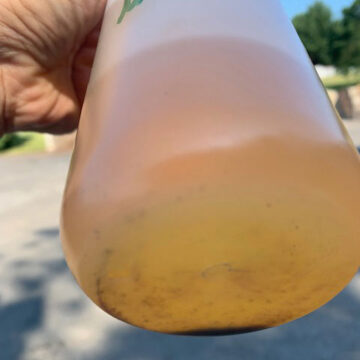 Contaminated Clear/On-Road Diesel Before Additive Treatment