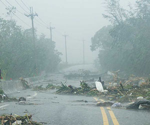 Road Blocked from storm damage